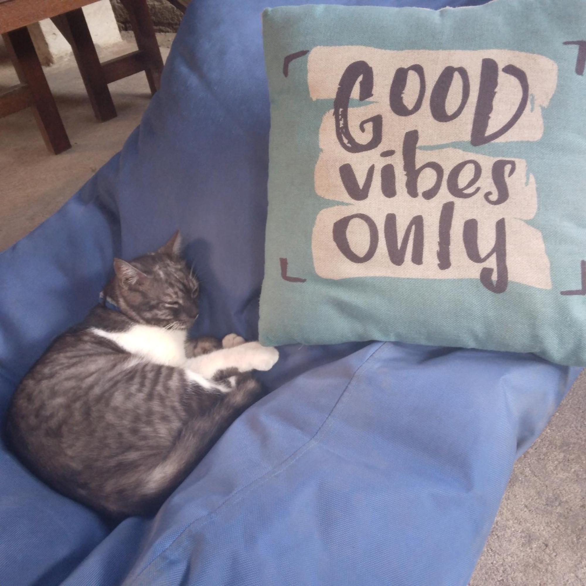Good Vibes Bungalows Gili Trawangan Esterno foto